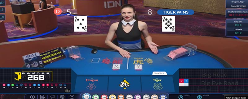 Langkah-Langkah Dasar Untuk Bermain Dragon Tiger Di Bandar Casino Terpercaya IDTRIBUN, bandar betting casino dragon tiger.